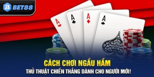 Cách Chơi Ngầu Hầm Hiệu Quả – Mẹo Và Chiến Thuật Từ Cao Thủ