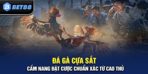 Đá Gà Cựa Sắt Siêu Kịch Tính & Hấp Dẫn Chỉ Có Tại BET88